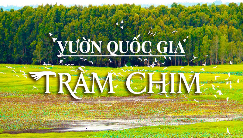 Vườn quốc gia Tràm Chim