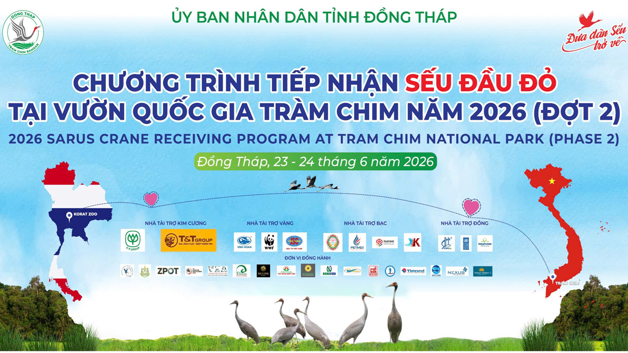 Thông cáo báo chí về Chương trình tiếp nhận Sếu đầu đỏ tại Vườn Quốc gia Tràm Chim năm 2026 (đợt 02)