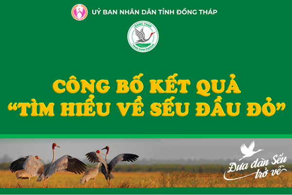 Công bố kết quả cuộc thi “Tìm hiểu về Sếu đầu đỏ” trên ứng dụng e-DongThap